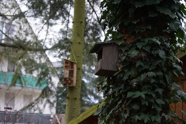 Squirrel House Insect Hotel Winter Recreation Area Berlin Germany — Stockfoto