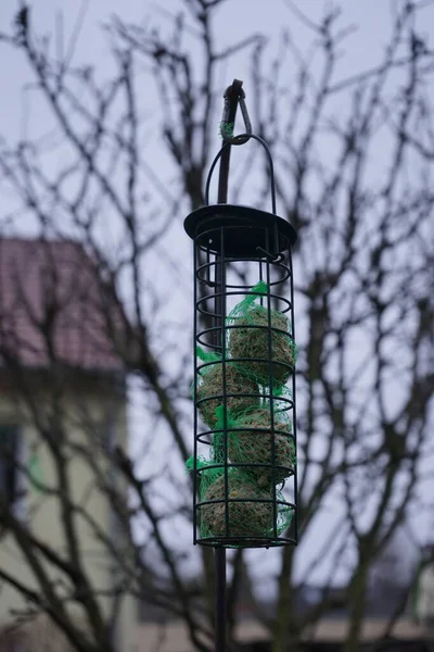 Bird Feeder Winter Berlin Germany — Stockfoto
