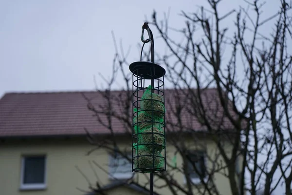 Bird Feeder Winter Berlin Germany — Foto de Stock