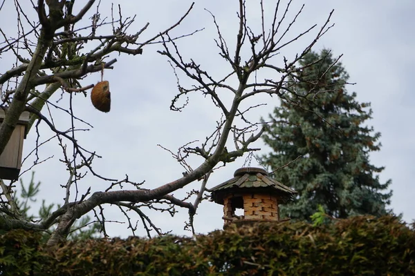 Birdhouse Feeders Recreation Area Winter Berlin Germany — 图库照片