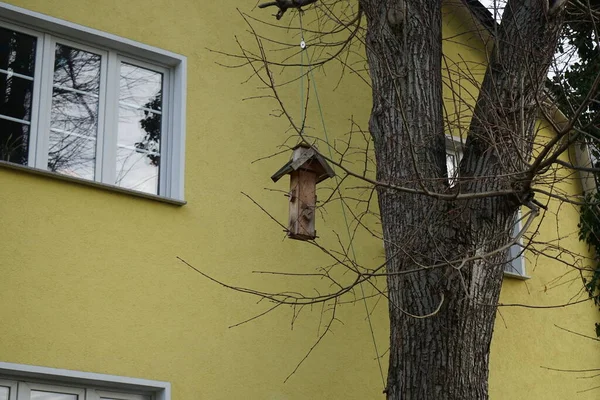 Bird Feeder Winter Berlin Germany — 图库照片