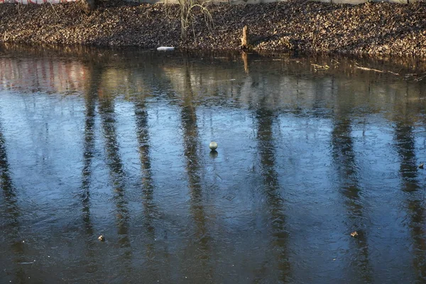 Ball Thin Ice River Winter Berlin Germany — Stockfoto