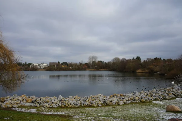 View of Biesdorfer Baggersee lake with waterfowl in snowy winter. Berlin, Germany