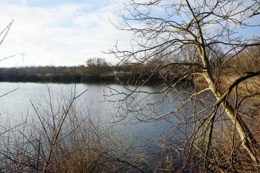 Beautiful Biesdorfer Baggersee lake surrounded by winter vegetation in January. Berlin, Germany