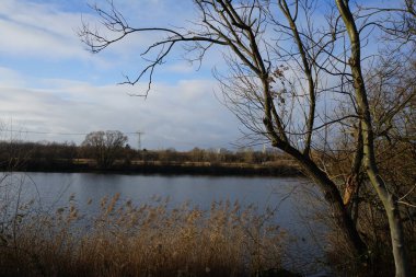 Beautiful Biesdorfer Baggersee lake surrounded by winter vegetation in January. Berlin, Germany