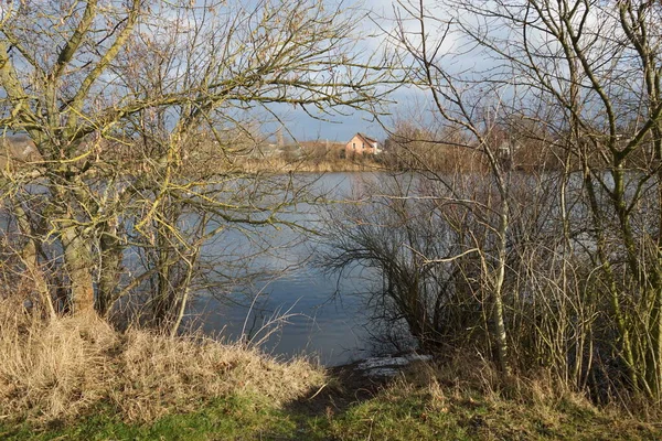 Beautiful Biesdorfer Baggersee Lake Surrounded Winter Vegetation January Berlin Germany — 스톡 사진