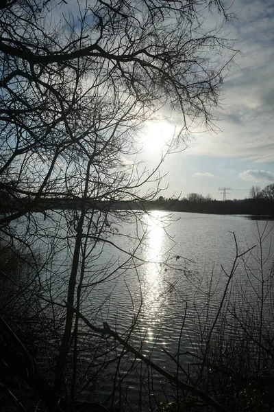 Low Winter Sun Biesdorfer Baggersee Lake January Berlin Germany — Photo