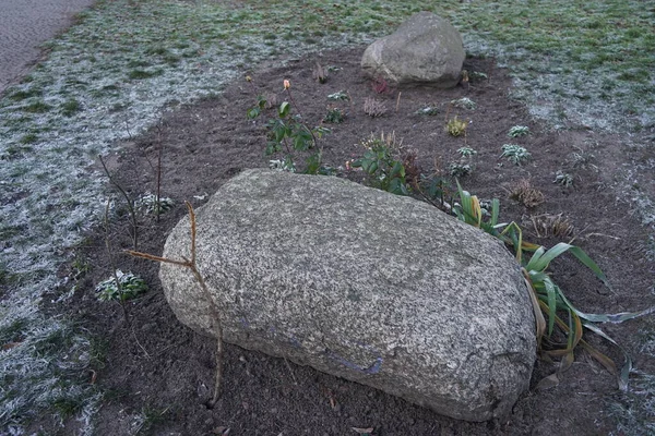 Stones as a decoration for a flower bed in a snowy winter. Berlin, Germany