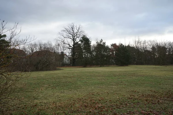 Wonderful Nature Landscape Innovationspark Wuhlheide Cloudy Day January Berlin Germany — Stock fotografie