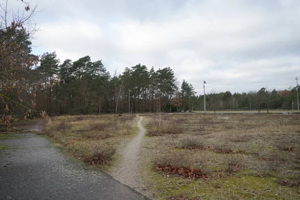 Wonderful Nature Landscape Innovationspark Wuhlheide Cloudy Day January Berlin Germany — 스톡 사진