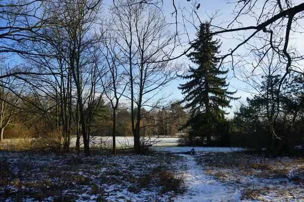 Beautiful Snowy Nature Landscape Innovationspark Wuhlheide January Berlin Germany — ストック写真