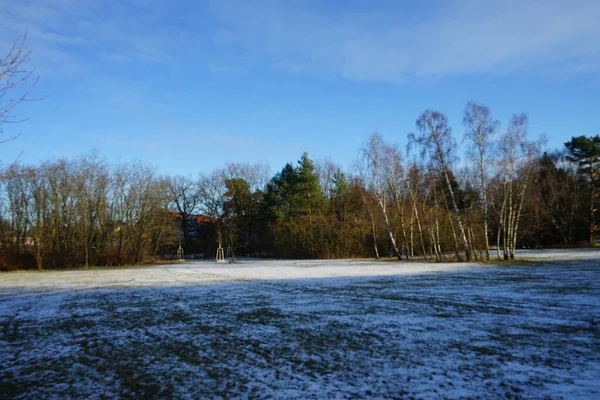 Beautiful Snowy Nature Landscape Innovationspark Wuhlheide January Berlin Germany — Zdjęcie stockowe