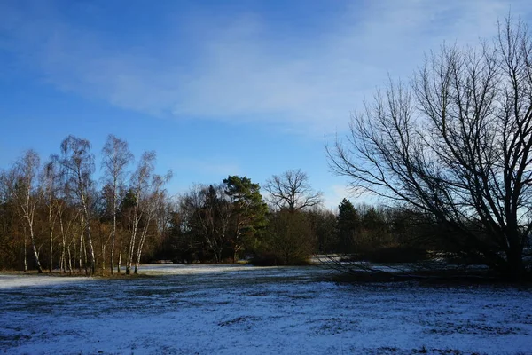 Beautiful Snowy Nature Landscape Innovationspark Wuhlheide January Berlin Germany — Stok fotoğraf