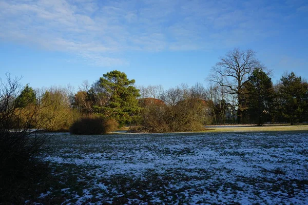 Beautiful Snowy Nature Landscape Innovationspark Wuhlheide January Berlin Germany — Stock fotografie