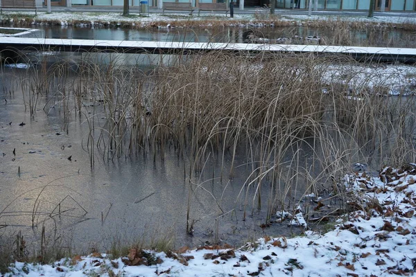 Pond Innovationspark Wuhlheide Snowy January Berlin Germany — Photo