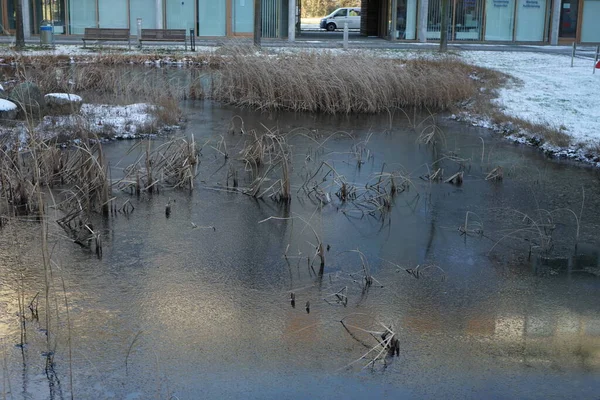 Pond Innovationspark Wuhlheide Snowy January Berlin Germany — Photo