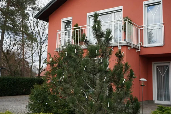 Decorated Outdoor Christmas Tree Winter Berlin Germany — ストック写真