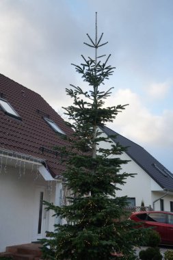 Kışın yanan ışıklarla süslenmiş Noel ağacı. Berlin, Almanya