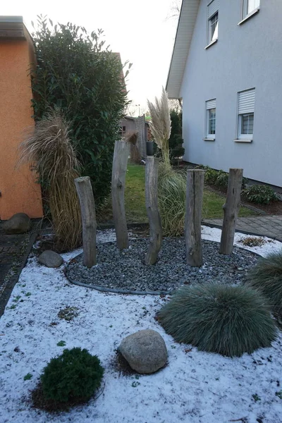 Ornamental Grasses Snowy Winter Garden Berlin Germany — 图库照片