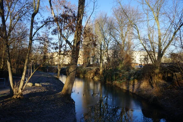 Krajobraz Wąską Rzeką Wuhle Otaczającą Roślinnością Styczniu Berlin Niemcy — Zdjęcie stockowe