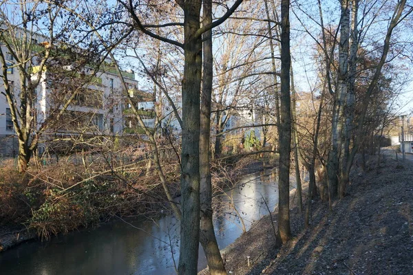 Dar Nehir Wuhle Çevresindeki Bitki Örtüsüyle Ocak Ayında Manzara Berlin — Stok fotoğraf