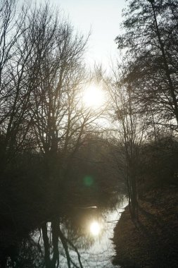 Kış güneşi Ocak ayında dar Wuhle Nehri 'nin üzerinde. Berlin, Almanya 