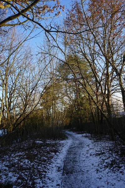 Wuhle Rivier Met Besneeuwde Oevers Januari Berlijn Duitsland — Stockfoto