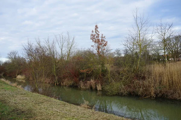 Τοπίο Τον Στενό Ποταμό Wuhle Και Γύρω Βλάστηση Τον Ιανουάριο — Φωτογραφία Αρχείου
