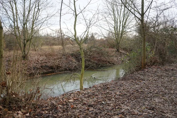 Paysage Avec Étroite Rivière Wuhle Végétation Environnante Janvier Berlin Allemagne — Photo