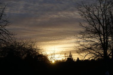 Ocak 'ta gün batımında güzel bulutlu bir gökyüzü. Berlin, Almanya