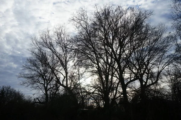 Vacker Molnig Himmel Vid Solnedgången Januari Berlin Tyskland — Stockfoto