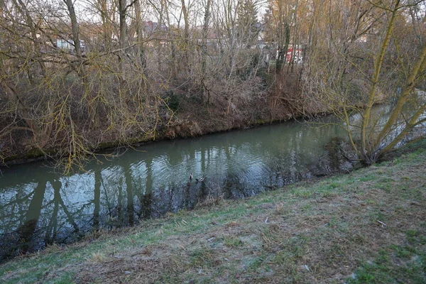 Gli Uccelli Acquatici Abitano Zona Intorno Fiume Wuhle Inverno Berlino — Foto Stock