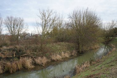 Su kuşları kışın Wuhle Nehri çevresinde yaşar. Berlin, Almanya 