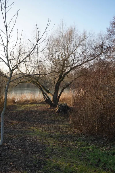 一月的五月里 美丽的景色与五月里的湖水相映成趣 德国柏林Marzahn Hellersdorf — 图库照片