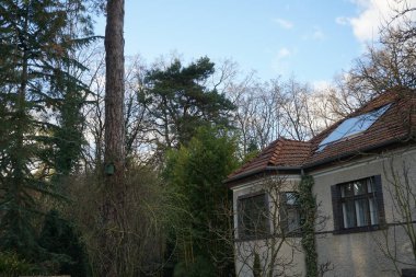 Almanya 'da kuşlar. Kışın eski bir evin yakınındaki ağaçta kuş evi. Berlin, Almanya