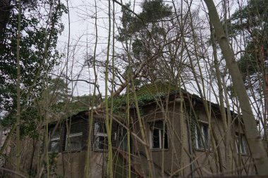 Ağaçlarla çevrili terk edilmiş eski bir ev. Berlin, Almanya