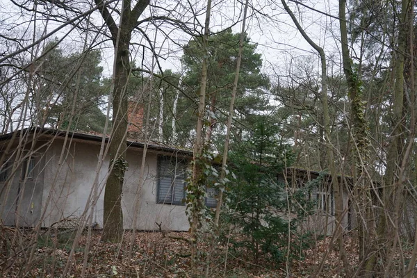 Elhagyott Régi Ház Fákkal Körülvéve Berlin Németország — Stock Fotó