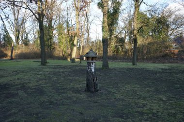 Kuş yemi çürümüş bir kütüğün üzerinde duruyor. Berlin, Almanya 