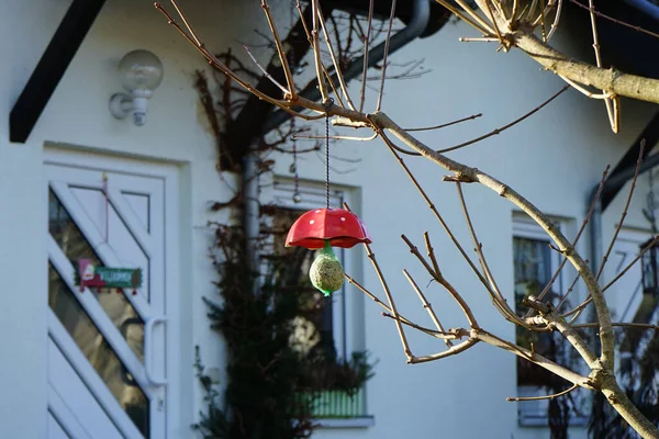 Alimentatore Uccelli Pende Sui Rami Inverno Berlino Germania — Foto Stock
