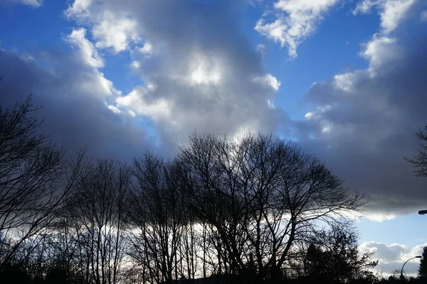 Bomen Tegen Een Prachtige Bewolkte Lucht Winter Berlijn Duitsland — Stockfoto