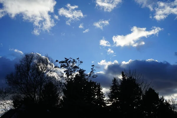 Взимку Дерева Виступають Проти Прекрасного Хмарного Неба Берлін Німеччина — стокове фото