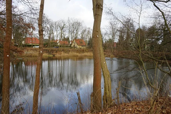 Kışın Kleiner Park Taki Güzel Kornerteich Göleti Mahlsdorf Berlin Almanya — Stok fotoğraf