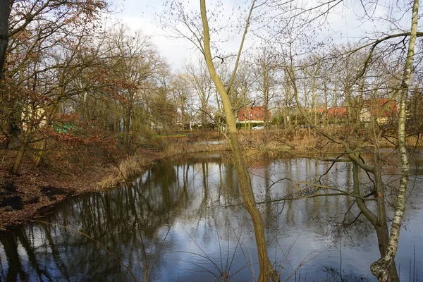 Красивый Пруд Kornerteich Парке Кляйнер Зимой Мбаппе Берлин Германия — стоковое фото