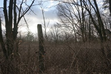 Beton sütunlar ve metal ağ örgülerinden oluşan eski bir çit. Berlin, Almanya