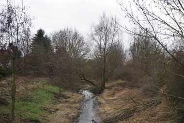 Dar nehir Wuhle ve çevresindeki bitki örtüsüyle kışın manzara. Berlin, Almanya 