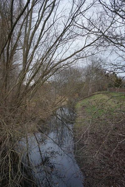 Landschap Met Smalle Rivier Wuhle Omliggende Vegetatie Winter Berlijn Duitsland — Stockfoto