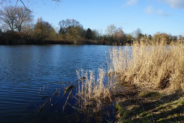 Lindas Paisagens Com Lago Wuhlesee Inverno Marzahn Hellersdorf Berlim Alemanha — Fotografia de Stock