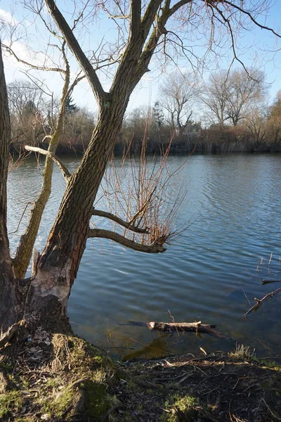 Magnífico Paisaje Con Lago Wuhlesee Invierno Marzahn Hellersdorf Berlín Alemania — Foto de Stock