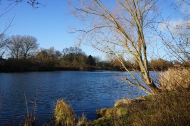 Wuhlesee Gölü 'nün kışın muhteşem manzarası. Marzahn-Hellersdorf, Berlin, Almanya 