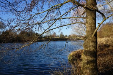 Wuhlesee Gölü 'nün kışın muhteşem manzarası. Marzahn-Hellersdorf, Berlin, Almanya 